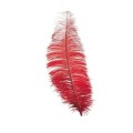 6781-strusie-pióro-30cm-czerwone-2.jpg