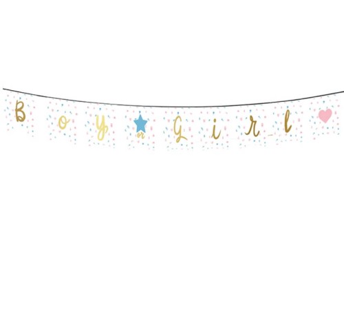 0007-girlanda-gender-party-it's-a-boy-or-it's-a-girl.jpg