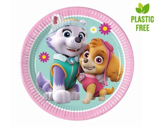 talerzyki-paw-patrol-sky.jpg
