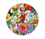 Talerzyki hawajskie Tropikalne Party 23 cm (6 szt.)