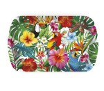 Taca, patera hawajska Tropikalne Party 